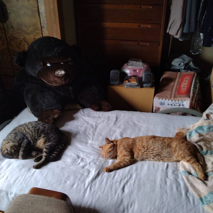 D1e356d8 8480 4e1f b63a c414c527318f 1690848570826