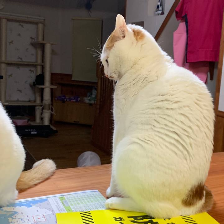 D1e381f6 c583 45c9 9199 72507f8164ad 1645787478856