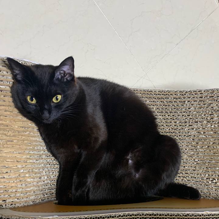 D1e3d61d 4fc8 40c8 bc6b 296e4a9492b0 1588331557570