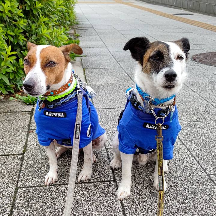 D1e3e1c9 76fa 41eb 871b 051c14319210 1624145628039