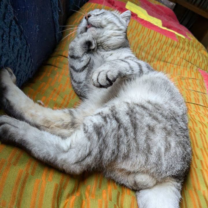 D1e40154 aa1e 434a 820f 118f66ef9c1e 1723934640617