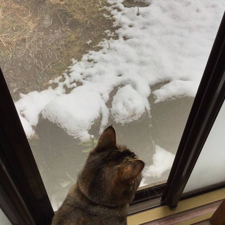 D1e402d8 707c 469d 9915 fe7fe3dd5c2f 1580173823564