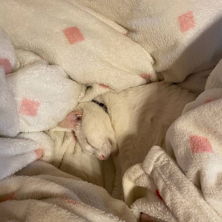 D1e42859 86d9 41ef aaf8 3299ad7fde90 1588984812880