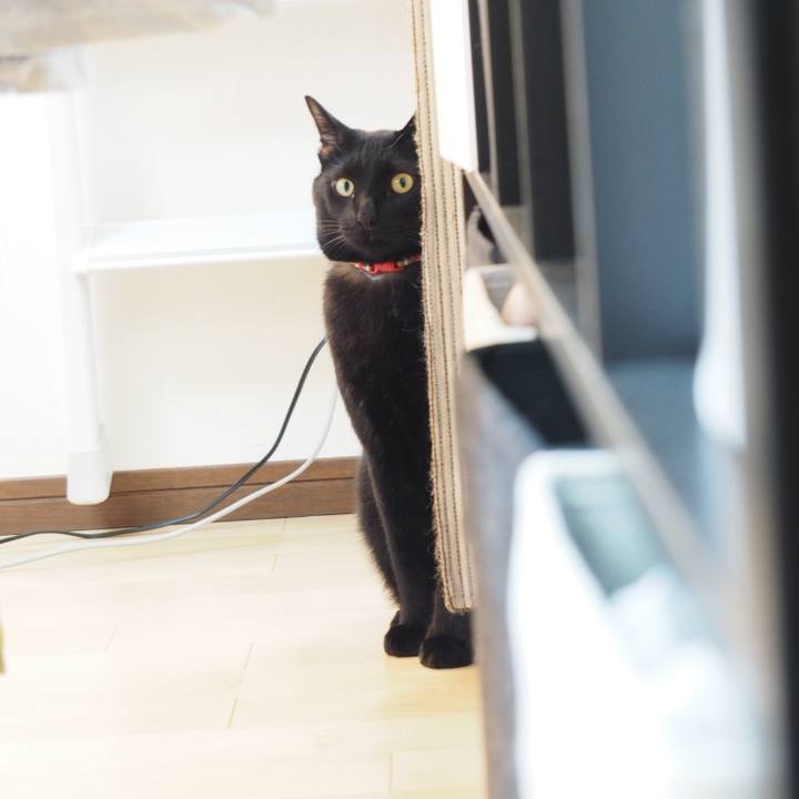 D1e435ec 43c5 4d58 bf20 83728ede7435 1576224667191