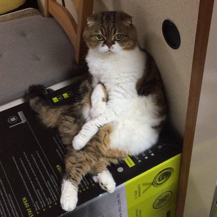 D1e44b23 e625 4fd8 8607 4b417cbe3928 1510094903849