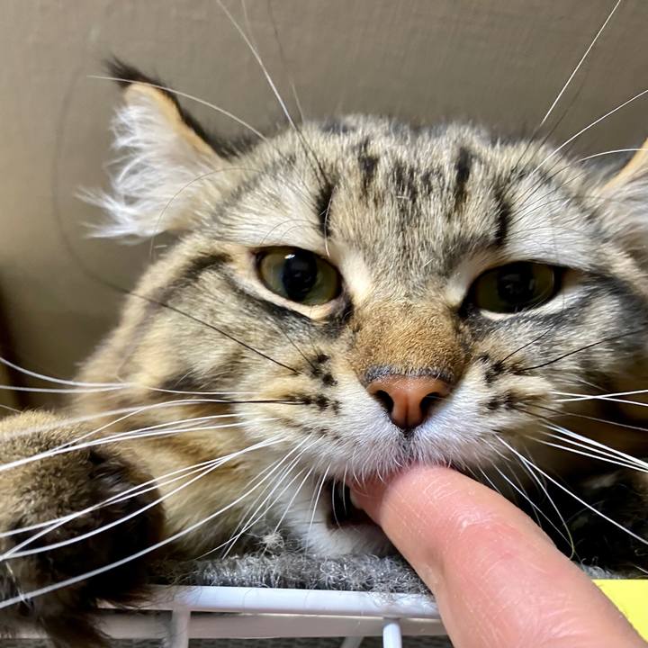 D1e487f3 9b66 45ec bf41 10c220d35b81 1604847943383