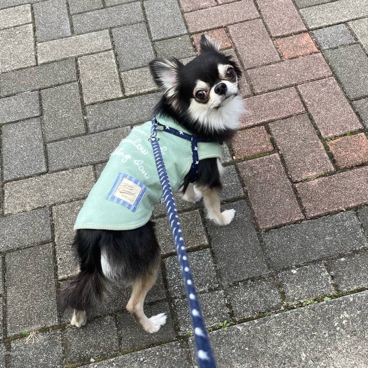 D1e4884d afac 4f50 ba65 f183e99b828b 1647843096961