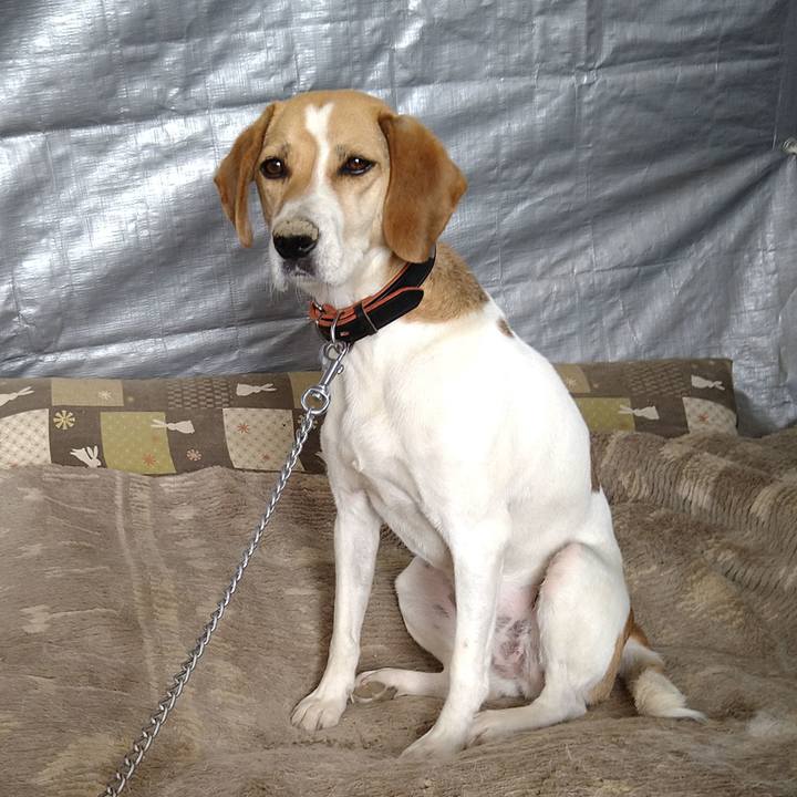 D1e49546 9cfb 40ea ba6b ce1d12beef89 1625109416197