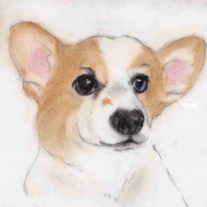 D1e4b726 97ea 4899 8fe3 9e4fb3cbbb9e 1638725962065