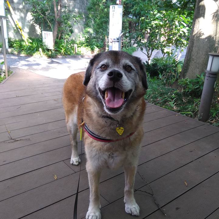 D1e4b998 a85f 4f20 9d5d d4b7125c7f54 1564444367913