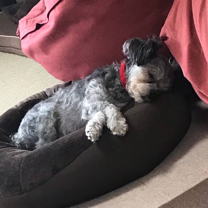 D1e4cd5e e00e 487a 8619 7d606ba24634 1539225679309