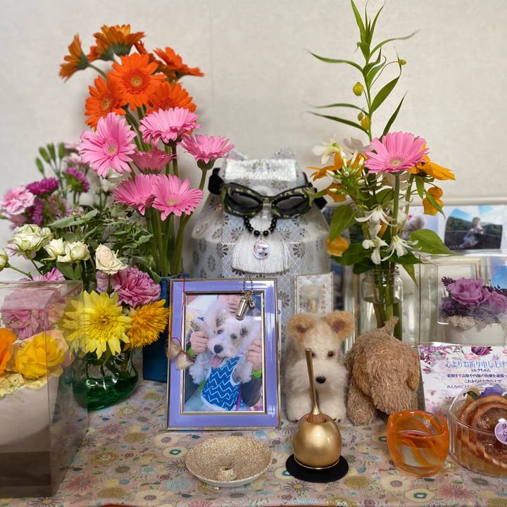 D1e4d304 5f41 4c07 8901 508418857795 1594537569757