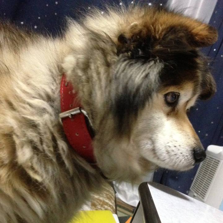 D1e4e2c1 594e 470a 92cf fce0cc87ff30 1549231913617