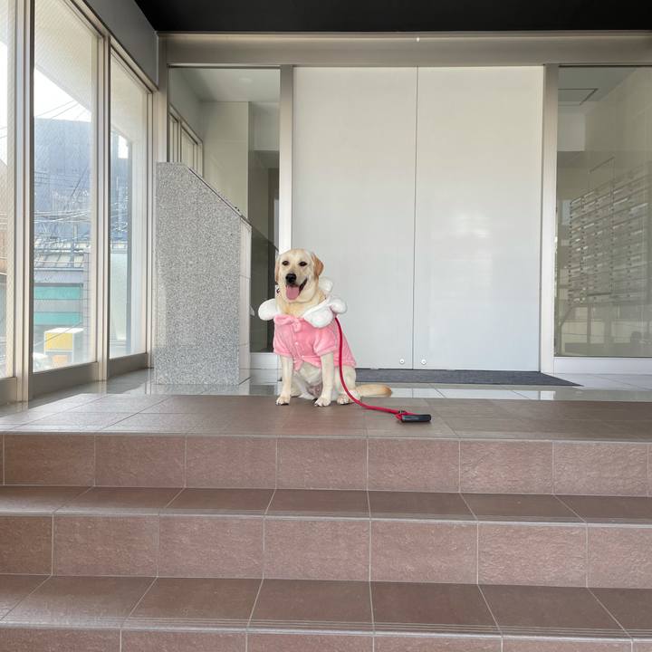 D1e5264f 1395 4f79 a344 39f8f4b7a039 1634540230602