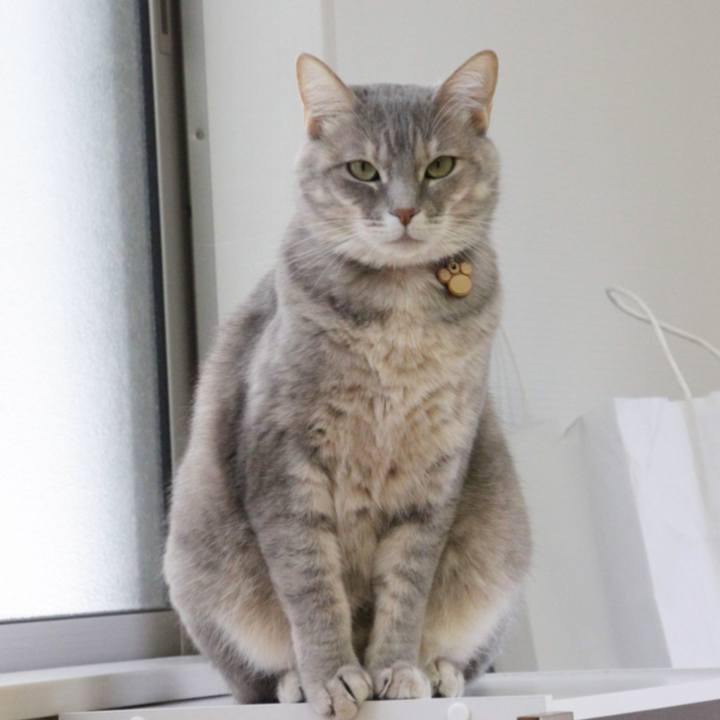 D1e53c2f a2c1 42ed 80db 98edff0756ce 1585796767609