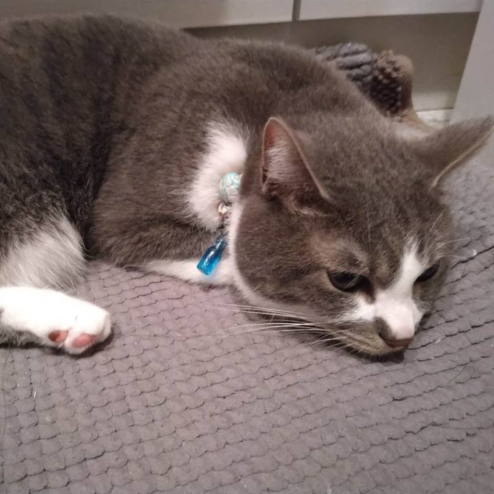 D1e5483a 9763 40ac bfe5 059b7aac735e 1681994634683