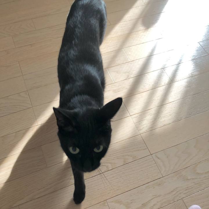 D1e55354 2847 4753 a9f7 04927a72b96f 1626349789021