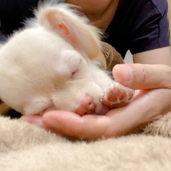 D1e5538c 1cac 430f b769 36c721435bfa 1592788759104