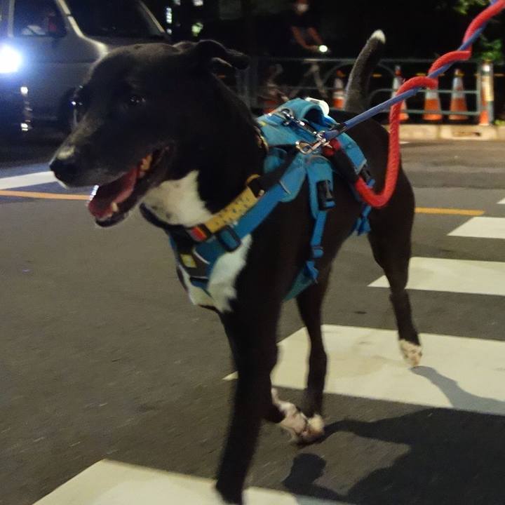 D1e59977 1f31 43d7 8a71 813cac0e6945 1634034753438