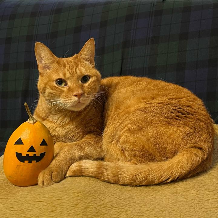 D1e5afdf 0dc7 42c6 a2ad 9319cffd5ae0 1761897550469