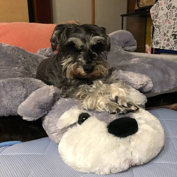 D1e5be50 29c0 4dde bcde 749a9d4d433f 1620135822779