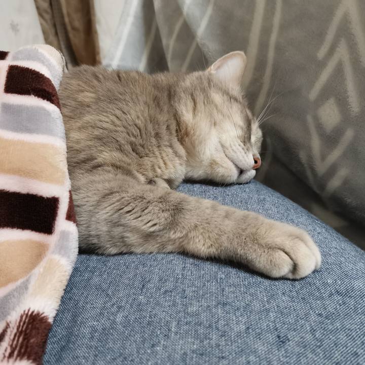 D1e5c5a7 e8db 49e4 8854 0ddcd21b7515 1606140616628