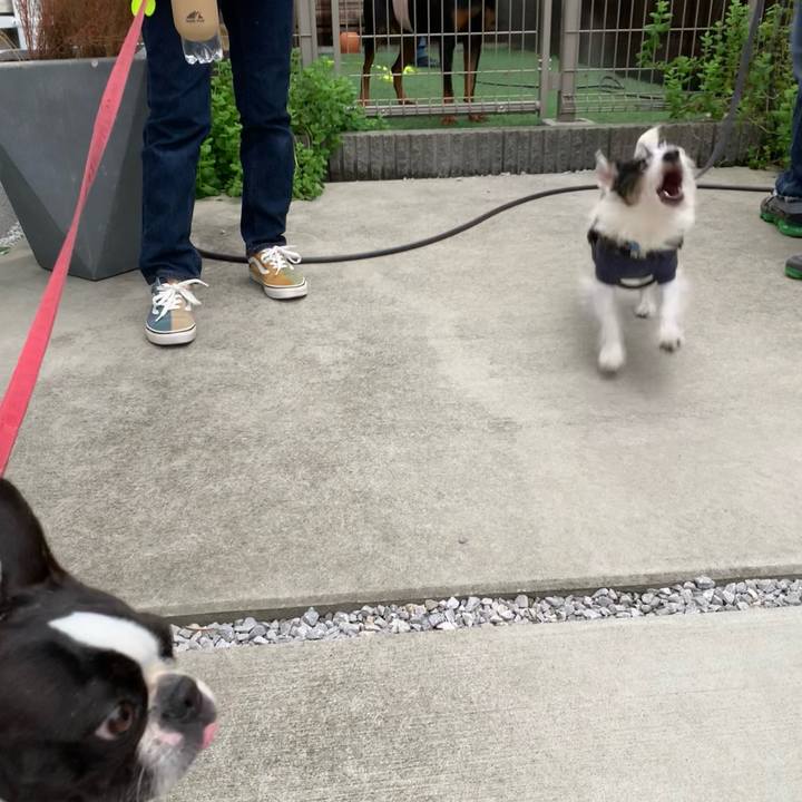 D1e5c6f2 1479 4172 b90d 6ade987eb9fc 1730160506850