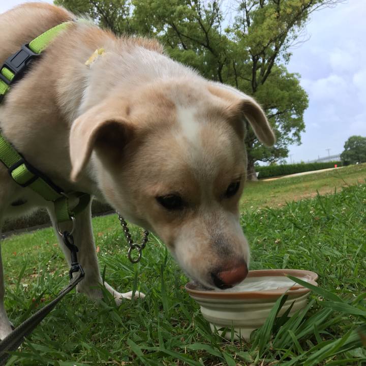 D1e5c903 acb0 4330 b94d 583119ab9845 1530786192442