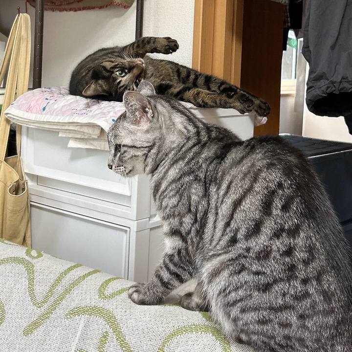 D1e5edea 1288 42e4 a85e 01616d40c733 1740325009897