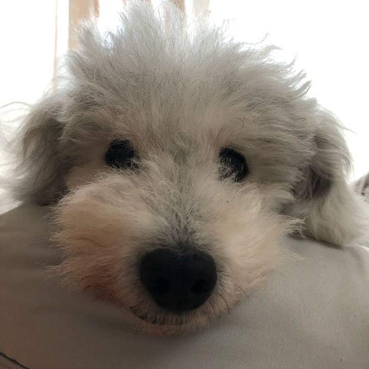 D1e5ee40 cade 4b8d bfdd c9be3437a8a5 1630723052060