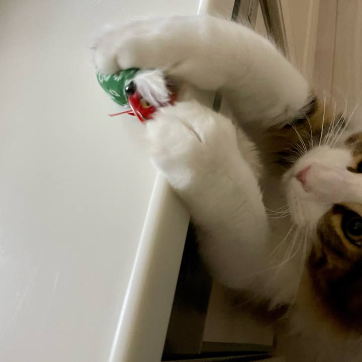 D1e5f0b5 5aa0 475a 98f2 d344af335385 1641073849840