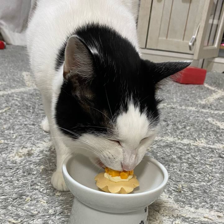 D1e600b3 17a2 49ad 9286 435990f83b7a 1620221470722