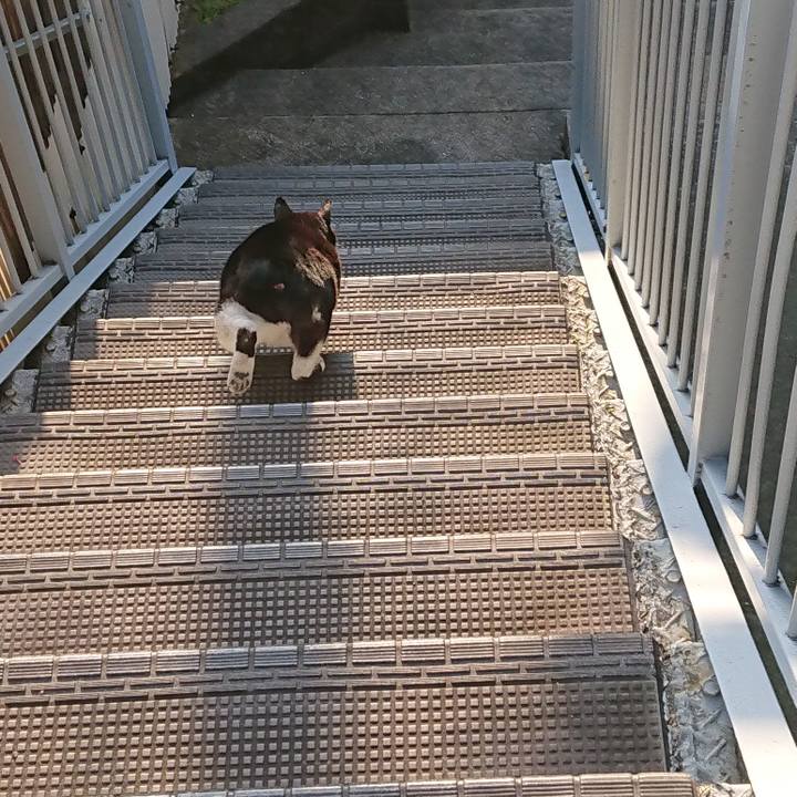 D1e60653 5df0 4de6 ac3e 10b422d7e8c3 1586349931076