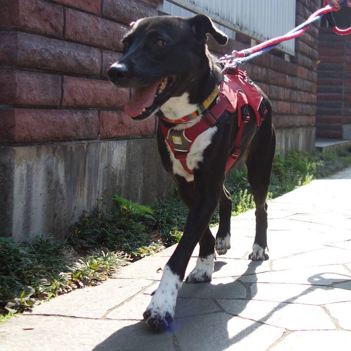 D1e612dc 2f38 406b 8bf3 5a45a5ff91e7 1588468781002