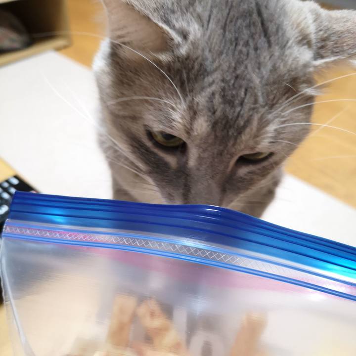 D1e62215 7566 429b b564 938aae3ee358 1565964004814