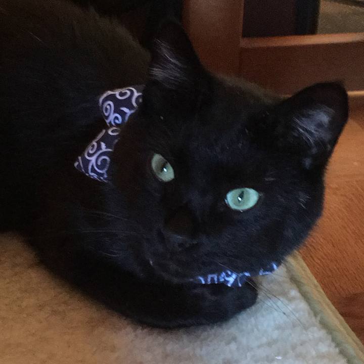 D1e626d1 ef64 48d2 b6a1 86206e0f0f9a 1536135430106