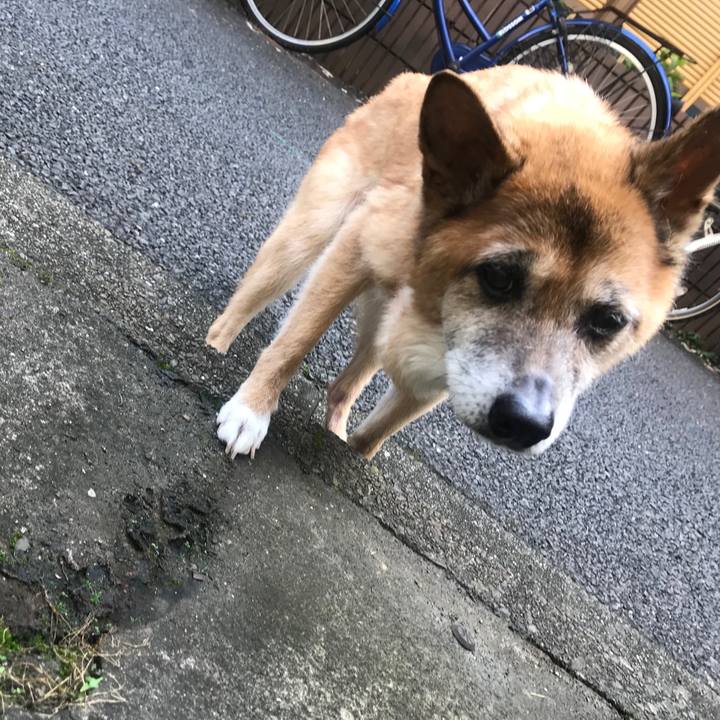 D1e62981 8a23 473f 9821 6e37c747ef38 1564006430811