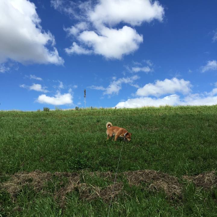 D1e6379d 1aac 495f a93a 69ca5142d8a6 1526881661155