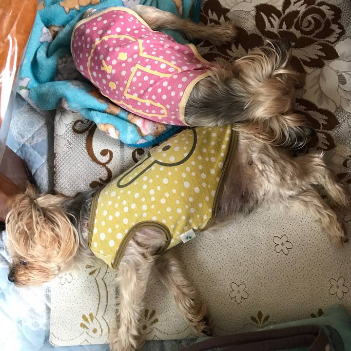 D1e63cc9 ddde 441d 8847 44dd1c2e1d21 1664014122961