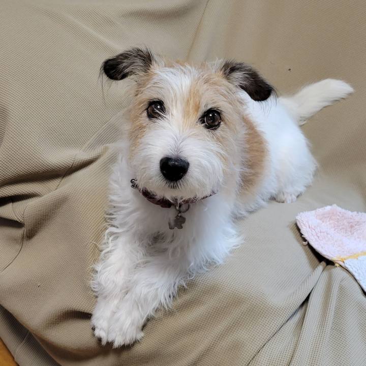 D1e63d18 cc02 4e65 a785 d6db1103f937 1769404040980