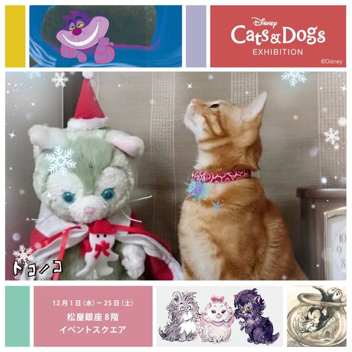 D1e65e72 4042 4fae ad1c 38e8b754eaef 1638327742251