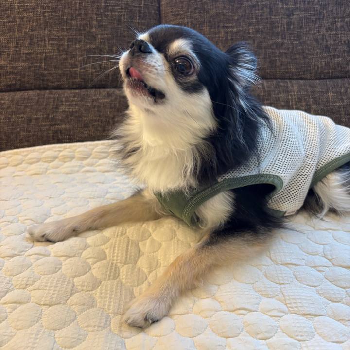 D1e66374 4ff7 4957 94ef b08ff4b884f8 1749398424517