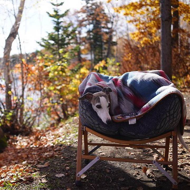 D1e682d3 ed6f 4da8 95e9 9f3f099845ba 1543572943962