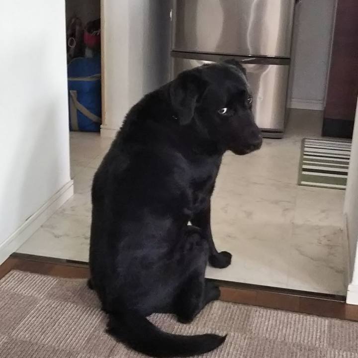 D1e68491 1d12 4e92 9ad3 07e0db20ea24 1691806900888