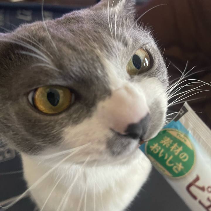 D1e68ad5 1ddb 4d6e 96b9 acae42a81e33 1709879388597