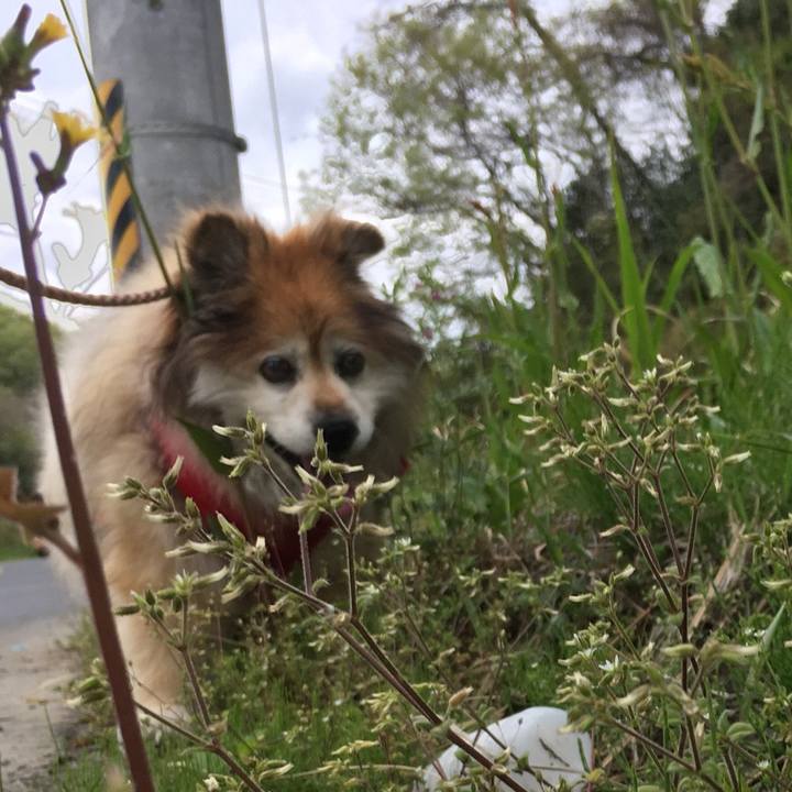 D1e68dcf 3824 487b 80c2 f2eab1762a86 1584120306989