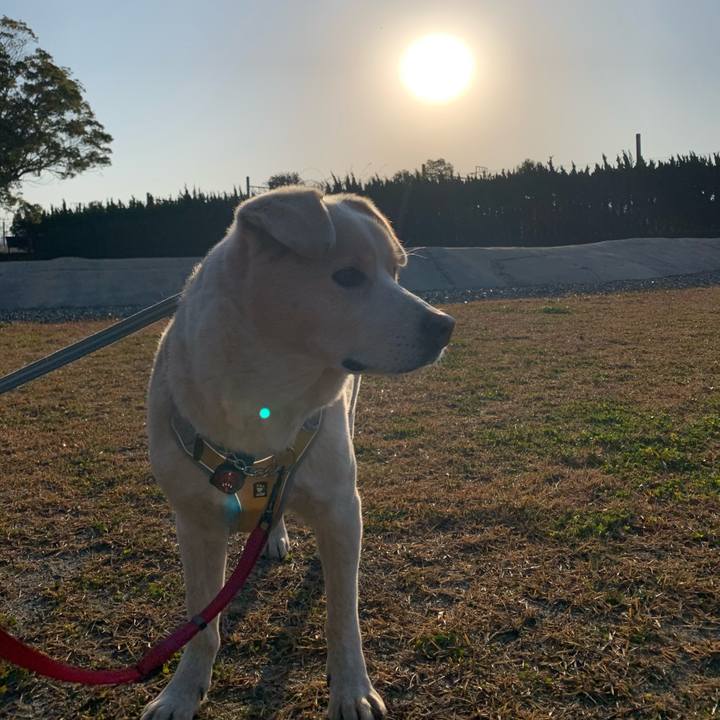 D1e6ad3b d165 4654 ab8c a10f05ce1152 1578050224784