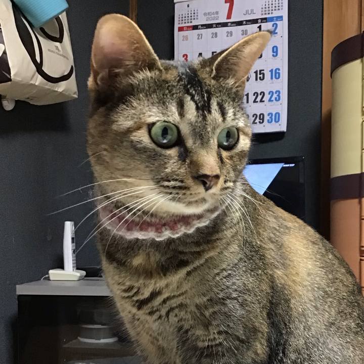 D1e6ae69 e348 4913 8628 ad9be247dcce 1658657574143