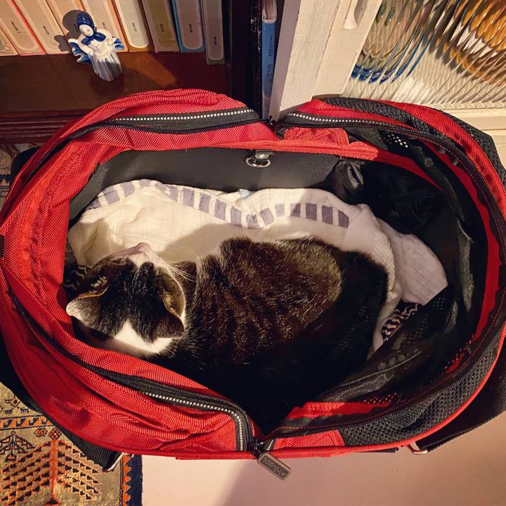 D1e6d161 59da 432a b881 6fca139f0140 1590238304468