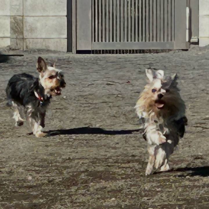 D1e6d49a ff6b 4241 b820 76cbc318269d 1767929051520